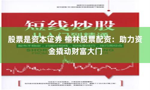 股票是资本证券 榆林股票配资：助力资金撬动财富大门